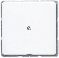 Вывод кабеля без рамки Jung CD500 белый картинка